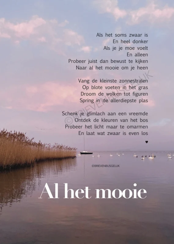 Al het mooie A6
