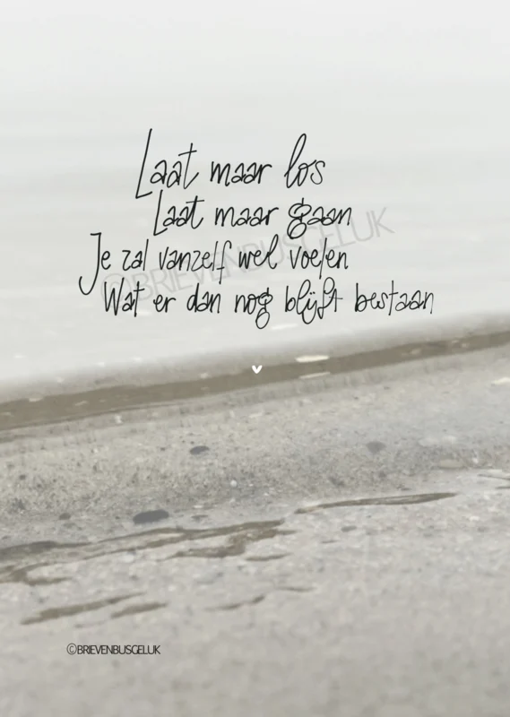 Laat maar los A6
